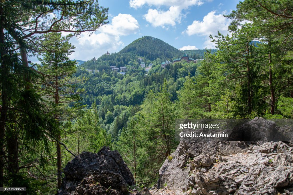 20 Schilling Blick