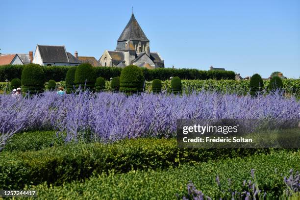 View of the 16th century Chateau de Villandry and the French formal gardens in the Loire Valley on July 13, 2020 in the Centre-Val de Loire, France.