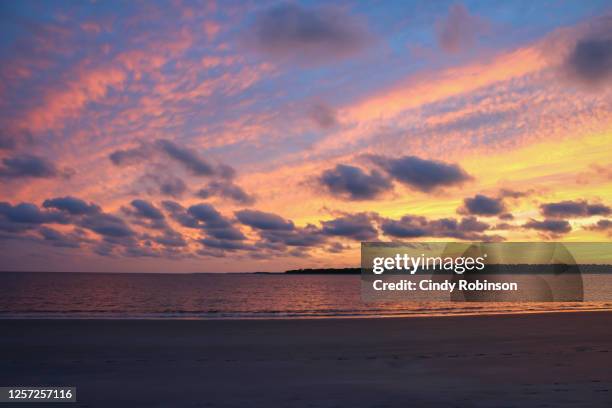 carolina sunset - palmeto imagens e fotografias de stock