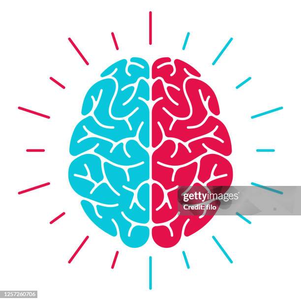 linkes gehirn vs. rechtes gehirn - cerebral hemisphere stock-grafiken, -clipart, -cartoons und -symbole