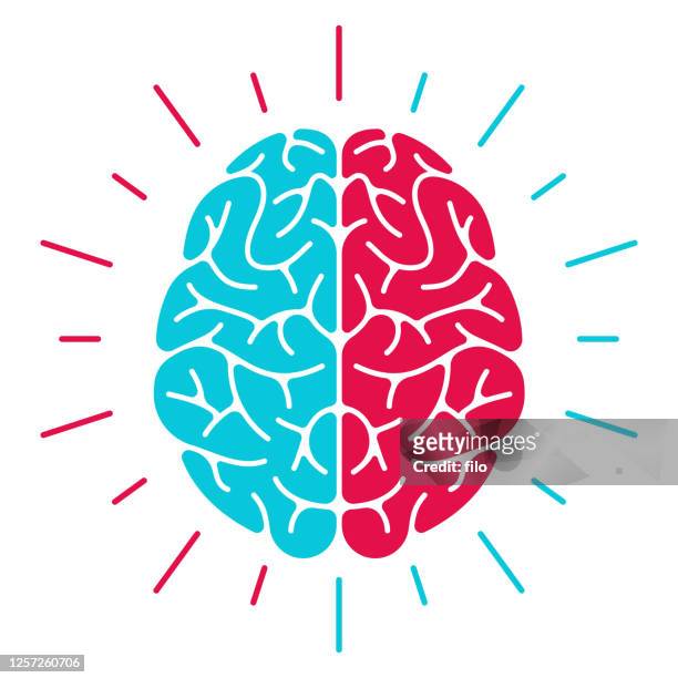 left brain vs right brain - human brain stock illustrations