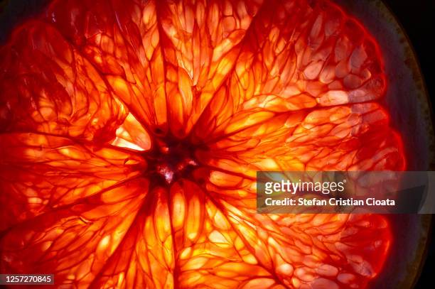 mature orange fruit slice back lit - macrofotografia foto e immagini stock