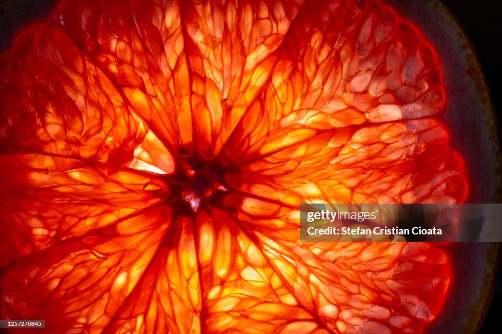 Mature orange fruit slice back lit