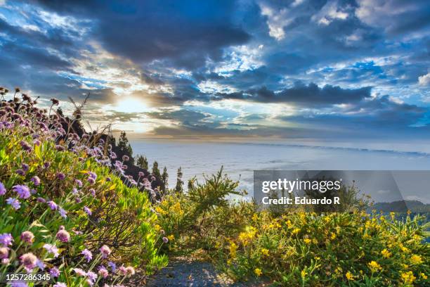 hdr landscape at sunset in parque nacional del teide, tenerife - pico de teide stock-fotos und bilder