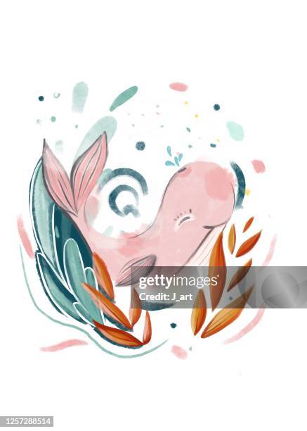 cute baby girl whale illustration. - aquatic mammal stock pictures, royalty-free photos & images