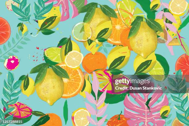 citrus fruit background - lemons and oranges - tropical flower stock illustrations