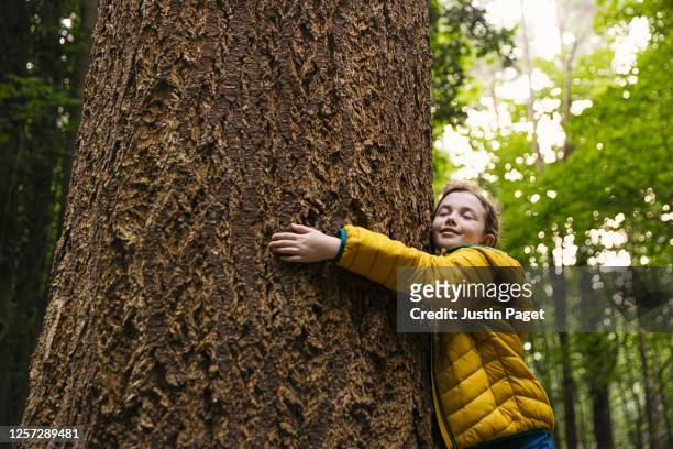 young girl hugging a big tree trunk - children only stock-fotos und bilder