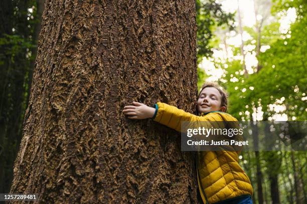 young girl hugging a big tree trunk - kid in a tree ストックフォトと画像