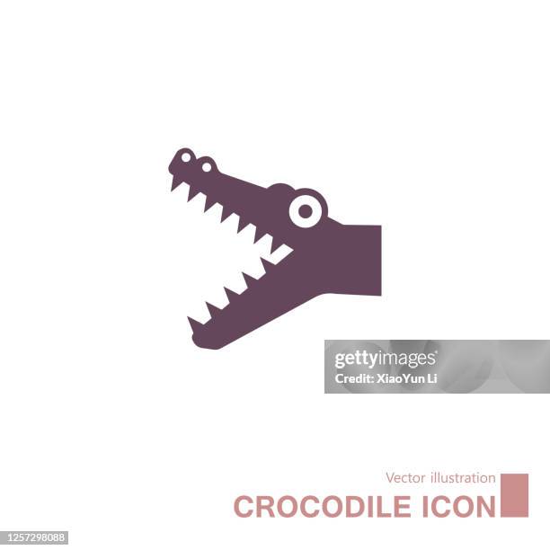 ilustrações de stock, clip art, desenhos animados e ícones de vector drawn crocodile icon. - crocodilo