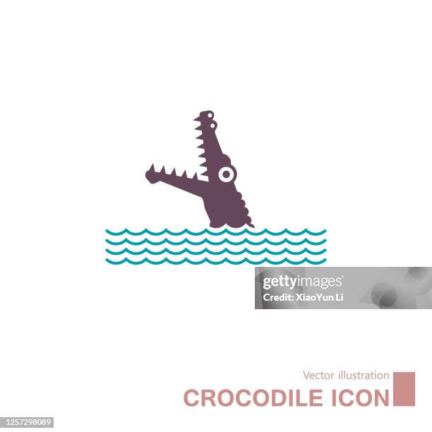 vector drawn crocodile icon. - crocodile stock illustrations