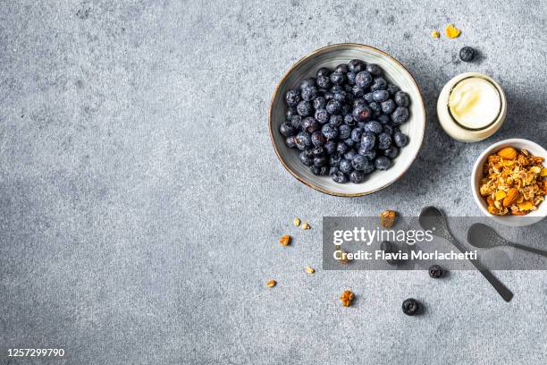 blueberries, yoghurt and granola - arándano fotografías e imágenes de stock