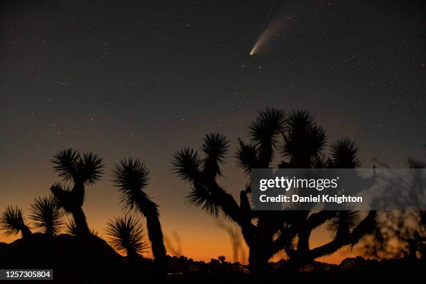 Comet NEOWISE, also known as 'C/2020 F3', is seen on July 18, 2020 in Joshua Tree, California. The comet is currently visible after sunset in the...