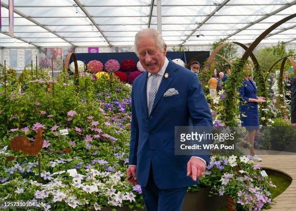 Britain's King Charles III visits the Raymond Evison Clematis stand at the Chelsea Flower Show, at the Royal Hospital Chelsea on May 22, 2023 in...