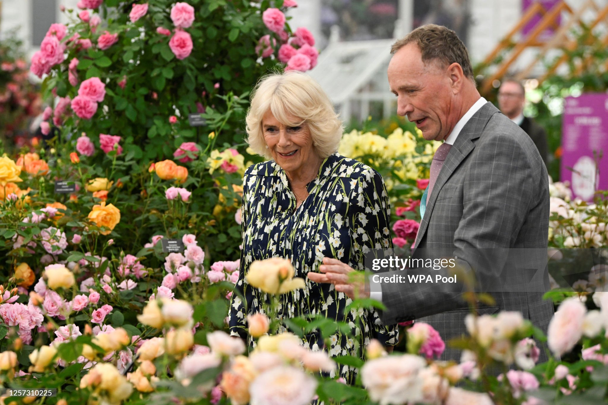 britains-queen-camilla-views-david-austin-roses-with-david-j-c-austin-at-chelsea-flower-show.jpg