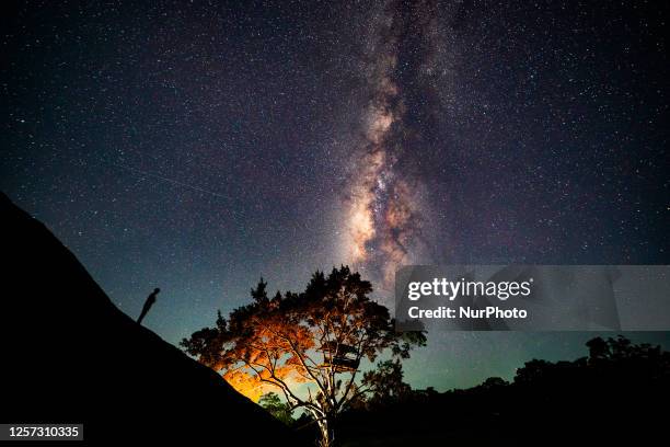 Milky way is shining over the makeshift huts erected in trees in Galgamuwa, Sri Lanka, on May 22, 2023. Farmers are spending the night in these huts...