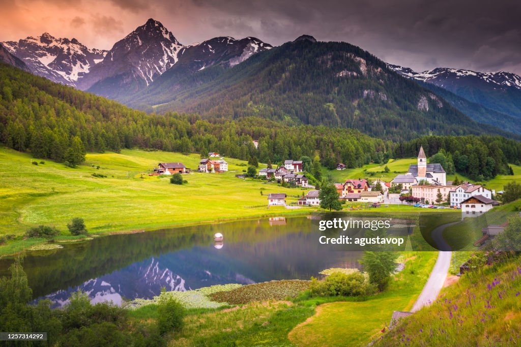 Idyllische Landschaft – Wildblumen und Seereflexion im Dorf Tarasp, Engadin – Schweiz