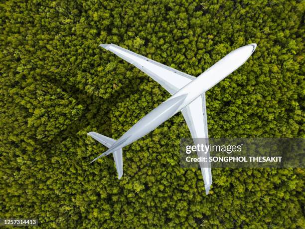 aerial view/passenger plane that is flying through the fertile rainforest. - plane landing stock-fotos und bilder