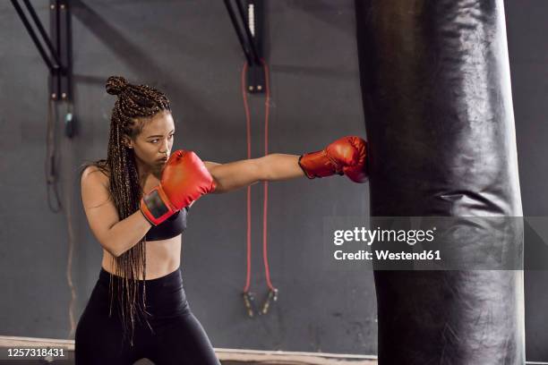 female boxer wearing red gloves practicing boxing drill on punching bag in gym - sandsack fitnessausrüstung stock-fotos und bilder