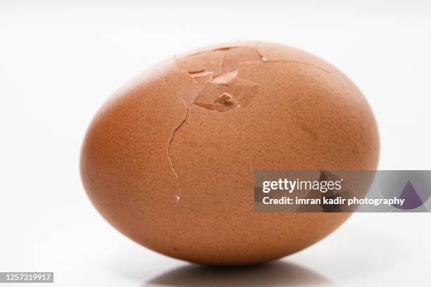 egg on close up shot - eggshell stock pictures, royalty-free photos & images