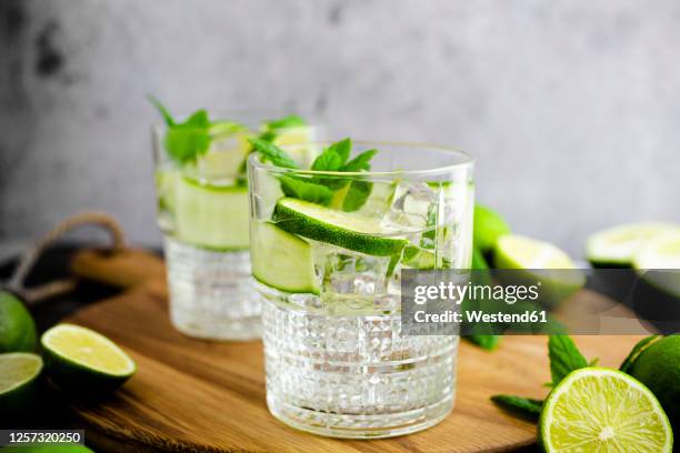 gin tonic with lemon, mint and cucumber - gin tonic stock pictures, royalty-free photos & images