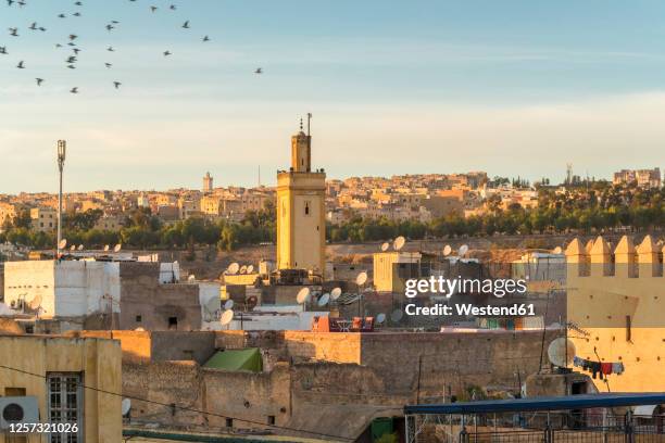 morocco, fes-meknes, fes, minaret in fes el bali at dusk - fez stock-fotos und bilder