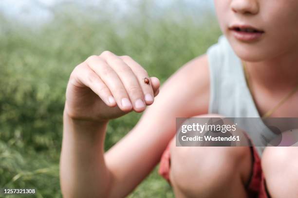 crop view of boy in nature with ladybird on his finger - ladybug stockfoto's en -beelden