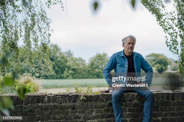 senior man sitting on a brick wall in the countryside - 65 69 years stock pictures, royalty-free photos & images