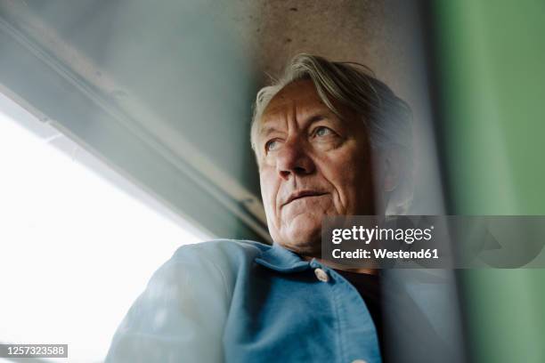 portrait of a senior man on tractor - farmer stockfoto's en -beelden