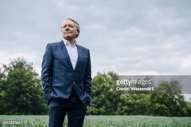 senior businessman on a field in the countryside - low angle view stock pictures, royalty-free photos & images