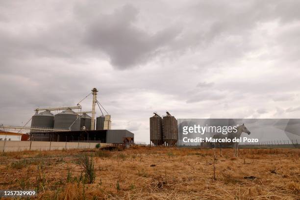 Rice silos on May 22, 2023 in Isla Mayor, Spain. An estimated 60 per cent of the Spanish countryside has been affected by drought, causing crop...