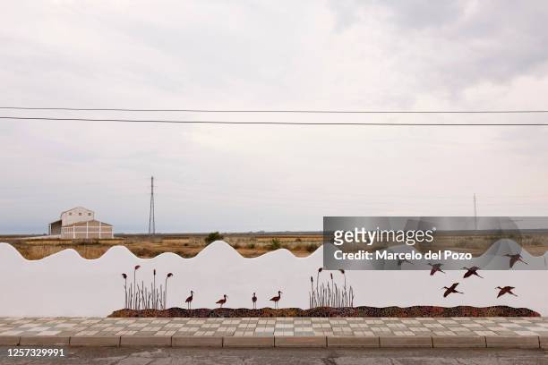 Graffiti artwork is seen next to a dry rice field on May 22, 2023 in Isla Mayor, Spain. An estimated 60 per cent of the Spanish countryside has been...