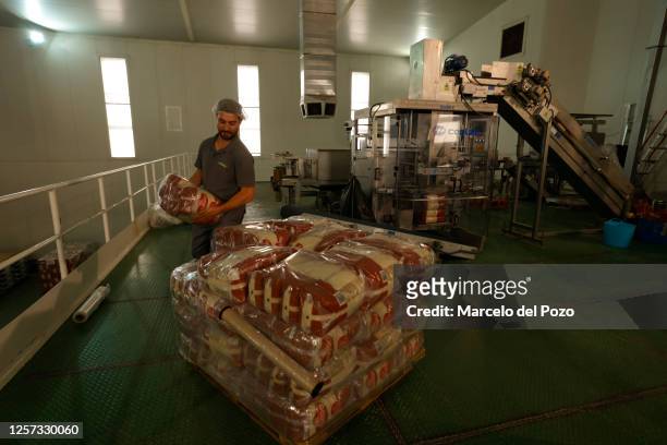 Packaging plant of the Andalusian rice cooperative, Arrozua, on May 22, 2023 in Isla Mayor, Spain. An estimated 60 per cent of the Spanish...