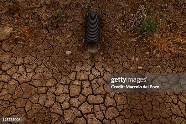 Drying Rice Fields Dry rice field on May 22, 2023 in Isla Mayor, Spain. An estimated 60 ...