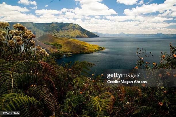 view of stunning lake toba and coast of samosir is - samosir island stock pictures, royalty-free photos & images