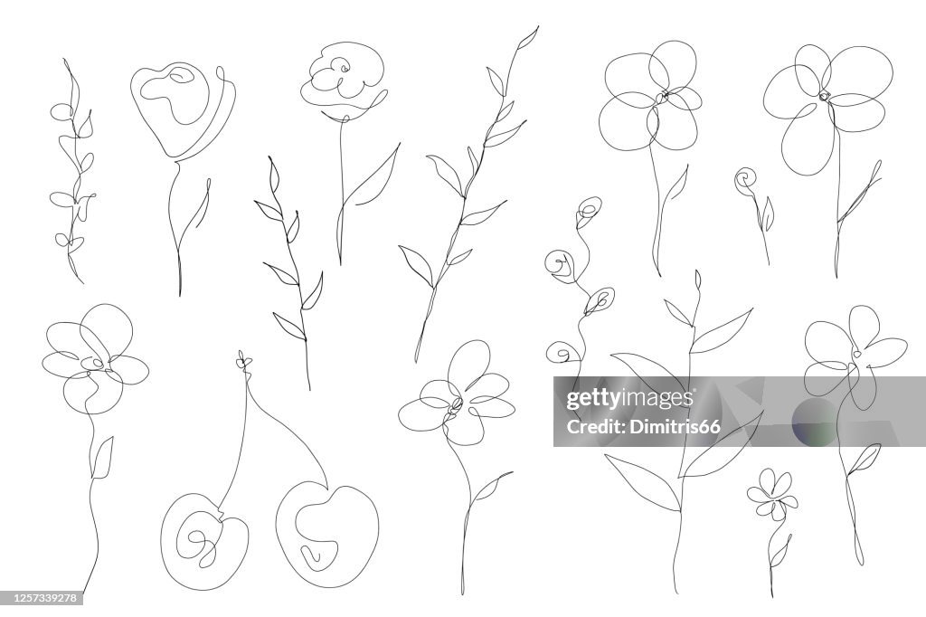 Abstract collection of flowers and leefs in continuous line art drawing style
