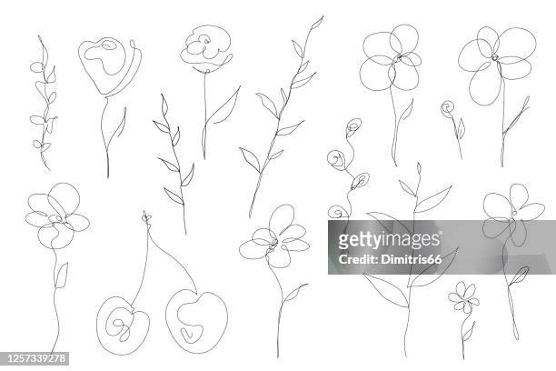 abstract collection of flowers and leefs in continuous line art drawing style - one line drawing abstract line art stock illustrations