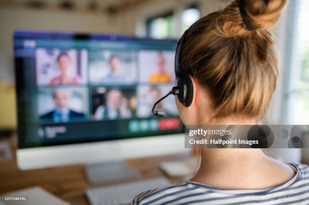 Rear view of young student with computer learning at home, homeschooling concept.