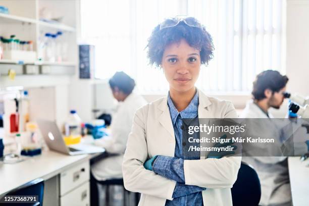 Lab Activity Stock Image Portrait Laboratory Portrait Background Photos and Premium High Res Pictures ...