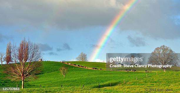rainbow in rural - waikato region stock pictures, royalty-free photos & images