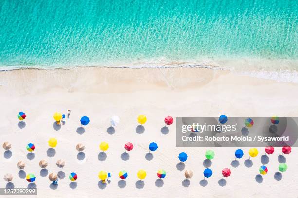 beach umbrella on tropical sand beach oceanfront - antígua e barbuda imagens e fotografias de stock
