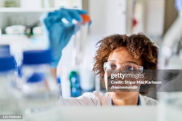 jonge wetenschapper die een onderzoeksteekproef in een laboratorium omhoog houdt - medisch specimen stockfoto's en -beelden