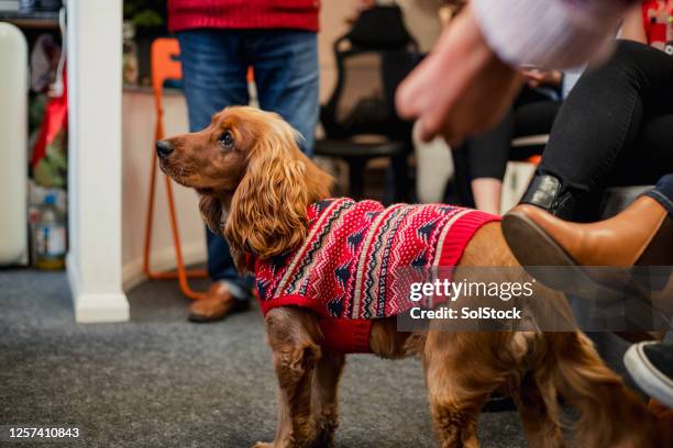 eyeing up the buffet - ugly shoes stock pictures, royalty-free photos & images