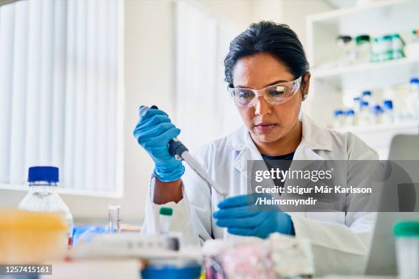 scientifique prenant des échantillons de recherche avec une pipette tout en travaillant dans un laboratoire - pathologist photos et images de collection
