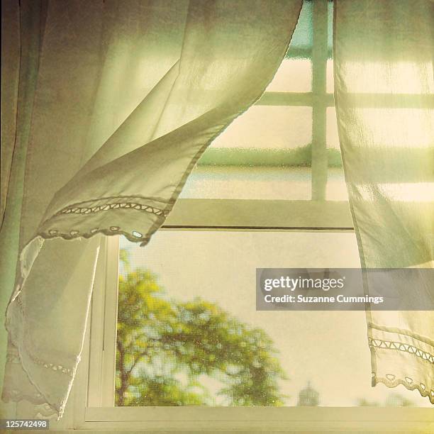 breezy - curtains blowing stock pictures, royalty-free photos & images