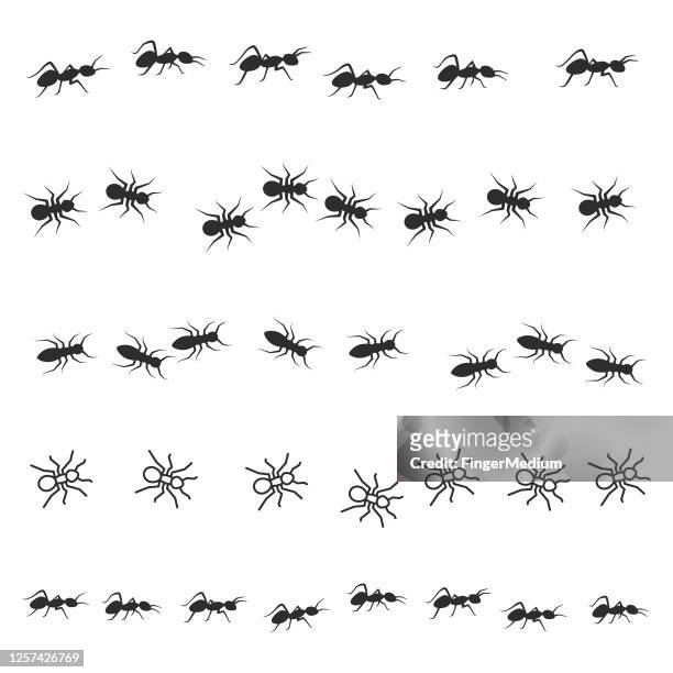 ants walking icon set - ant stock illustrations