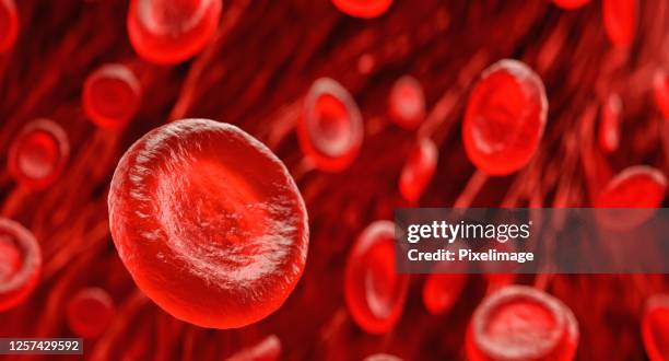 blood cells - bloed stock pictures, royalty-free photos & images