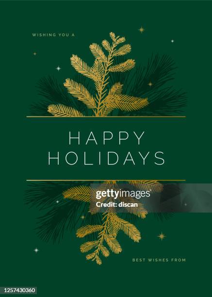 ilustrações de stock, clip art, desenhos animados e ícones de holiday card with evergreen silhouettes. - cartao de natal