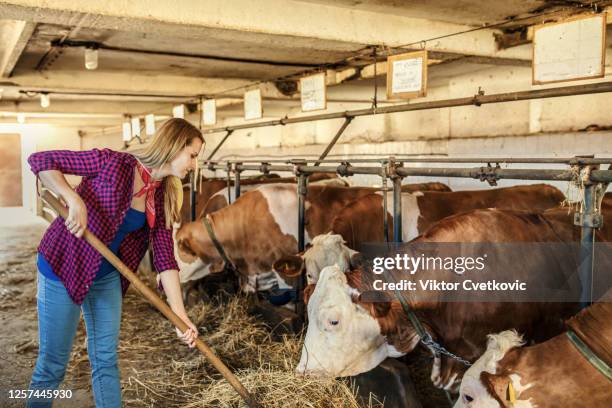 young female farmer - retro cowgirl stock pictures, royalty-free photos & images