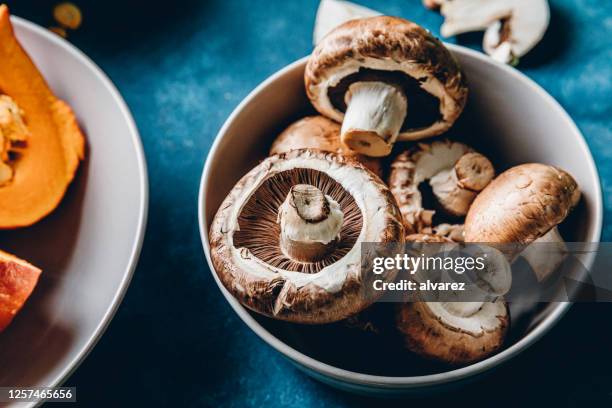 frische pilze in einer schüssel - edible mushroom stock-fotos und bilder