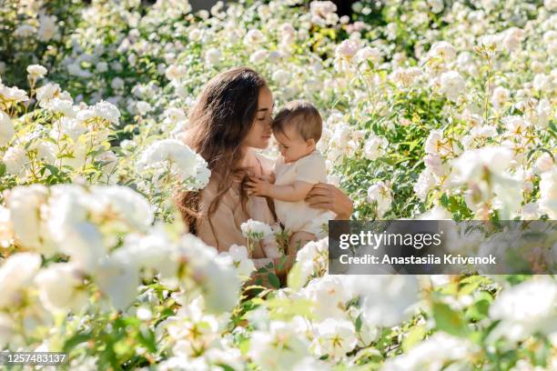 beautiful young mother and baby girl hugging in a meadow white rose flowers on nature in summer. family holiday in summer day. - mother daughter roses stock-fotos und bilder